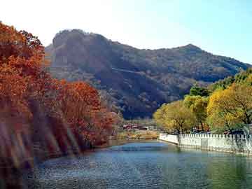 新澳天天开奖资料大全旅游团，贡山独龙族怒族自治seo教程